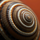 Illustration for article titled Incredible Photographs of Fractals Found in the Natural World